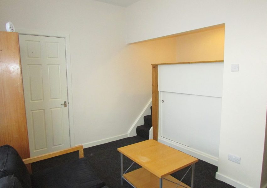 Living room bedroom